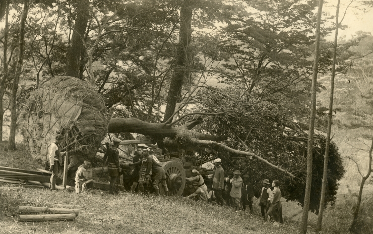 明治神宮の創建について_11